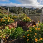 New Quinta Aurora - Heated Private Pool, Ocean View, Organic Garden Feriehus *